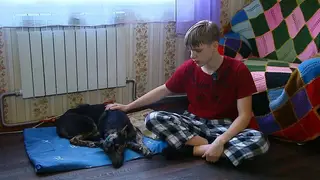 В Иркутской области школьник 5 километров нёс на руках избитую собаку