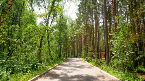 В Красноярске модернизируют эко-парк «Гремячая грива»