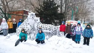 В 12-м детском саду Красноярска появились снежные барсы