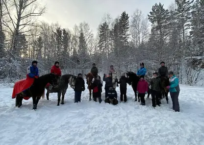 В Железногорске потерявшихся в лесу людей будут искать волонтёры на лошадях