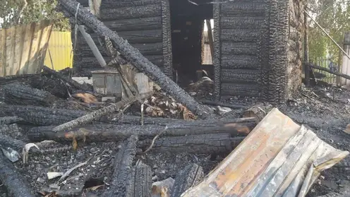 Семья с двумя детьми сгорела в дачном доме под Новосибирском