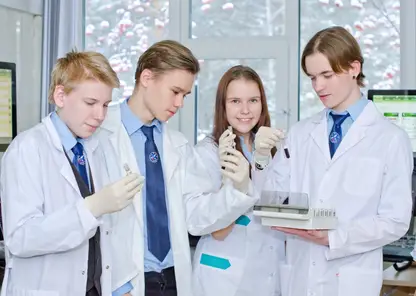 Четыре школы из Красноярского края оказались в топ-300 лучших в России 