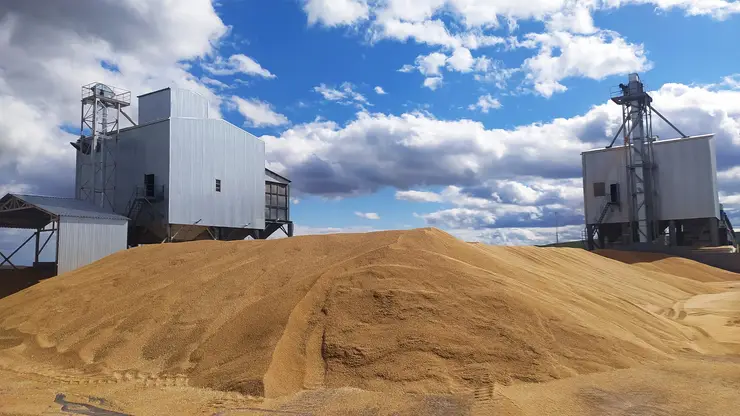 Аграрии Красноярского края собрали более 3 млн тонн зерна