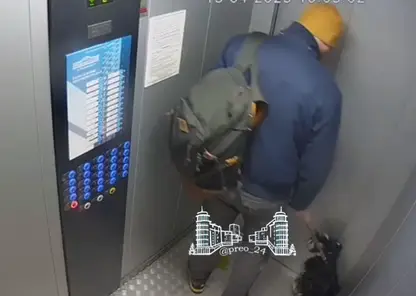 Красноярец жестоко избил ногами свою собаку в лифте