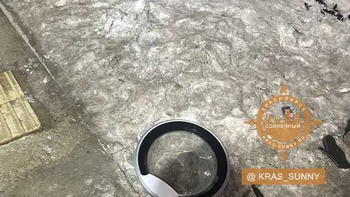 В Красноярске из-за конфликта семейная пара выкинула стиральную машинку из окна