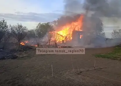 В Томске на острове Пушкарев сгорело более 30 строений