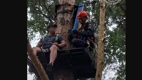 В экстрим-парке Томска мужчина застрял на дереве