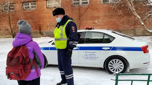 В Красноярске за месяц 117 детей-пешеходов нарушили ПДД