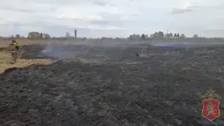 Три гектара выгорело в Енисейском районе из-за детских игр с огнём