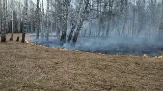 На территории 43 муниципальных образований Красноярского края вводится особый противопожарный режим.