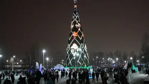 В Красноярске 25 декабря на главной городской елке зажгутся новогодние огни