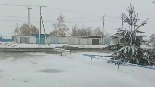 В Иркутской области 17 населенных пунктов остались без света из-за снегопада 