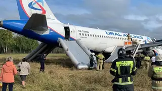 Самолет «Уральских авиалиний» совершил аварийную посадку в Новосибирской области из-за проблем с гидросистемой