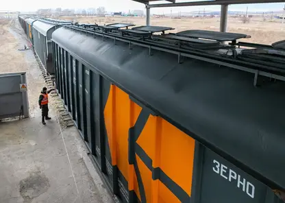 Рекордное количество зерна отправлено со станций Красноярской железной дороги в марте