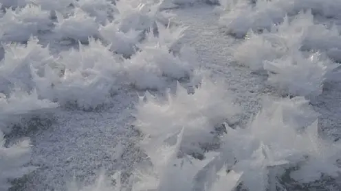 Жители Томска на реке заметили необычные «ледяные цветы»