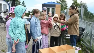 В Красноярске запустили новый сезон «Зеленой школы»