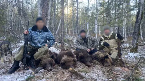 В Иркутской области браконьеры в берлоге убили медведицу и трех медвежат