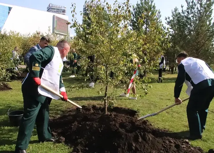 Аллею яблонь и рябин высадили в парке 400-летия Красноярска