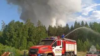 Лесной пожар площадью 1200 га вновь разгорелся в Егорьевском районе Алтайского края