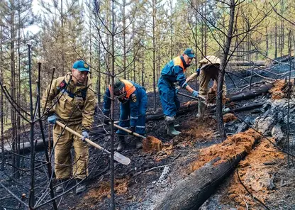На территории Якутии действует 15 лесных пожаров