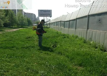 Жители Красноярска жалуются на шум под окнами от скашивания травы