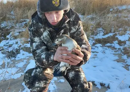 В Красноярском крае в заповеднике спасли примёрзшую хвостом ко льду утку