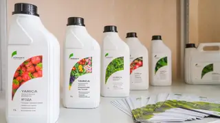 Овощи без «химии»: компания Биотех в Красноярске выпускает уникальные органические удобрения «YARICA»