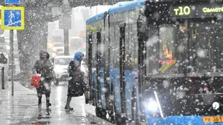 Количество автобусов на дорогах Красноярска в часы пик останется прежним