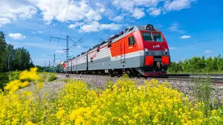 «Папа, поезд!»: акция по безопасности для пешеходов-родителей впервые состоялась на Красноярской железной дороге  