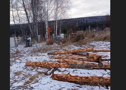 Жителей Кемеровской области возмутило состояние кладбища в одной из деревень