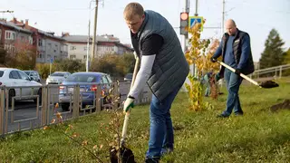 «Красноярская рециклинговая компания» высадила 88 яблонь на пустыре на улице Гусарова