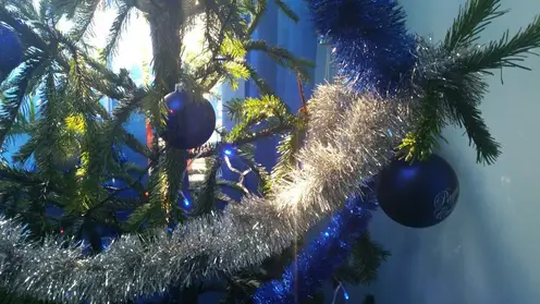 Красноярцы могут сдать живые новогодние ёлки на переработку