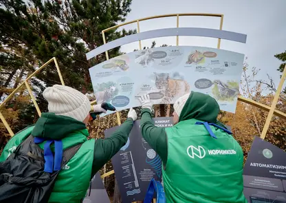 В нацпарке «Красноярские Столбы» открыли климатический маршрут, созданный при участии волонтеров «Норникеля»