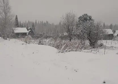 Дачи под Дивногорском засыпало снегом