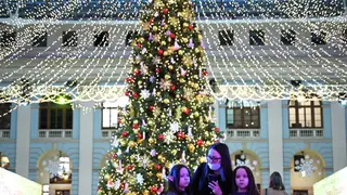 В Новосибирске установили первую новогоднюю елку