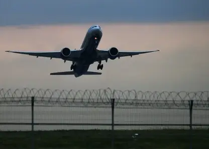 Самолет  столкнулся со стаей птиц при вылете из Иркутска