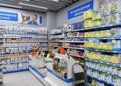 В ветеринарных аптеках Красноярского края могут продавать фальсифицированные лекарства