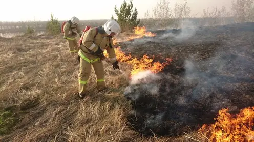 Неизвестные подожгли сухую траву в Минусинском районе