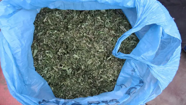 У жителя Шушенского района изъяли пакет наркотиков растительного происхождения