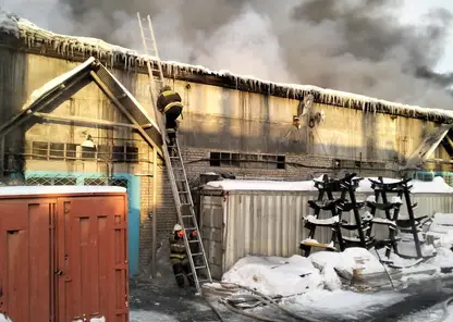 В Иркутской области загорелся крупный лесоперерабатывающий комплекс