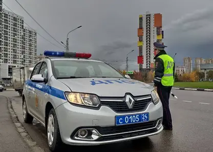 Красноярские автоинспекторы назвали самое безопасное место в автомобиле для перевозки детей