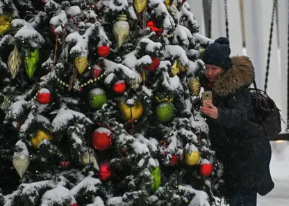 В Томске приступили к установке новогодней елки