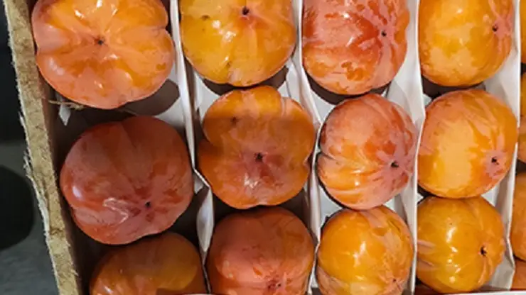 Более 250 тонн томатов, винограда и хурмы прибыло в Красноярск из Узбекистана