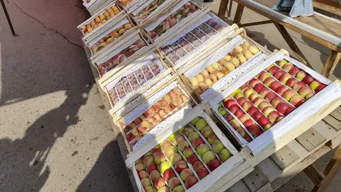 Какие фрукты лучше всего покупать в июле посоветовали красноярцам в Роспотребнадзоре