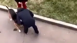 В Красноярске мужчина избил собаку