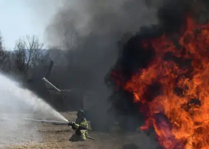 В Красноярском крае виновникам лесных пожаров грозят миллионные компенсации