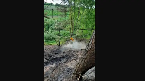В Красноярском крае в Енисейском районе произошёл торфяной пожар