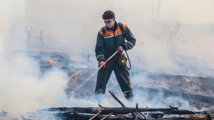 В лесах Красноярского края зафиксировано 24 очага возгораний