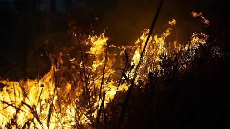 В Эвенкийском районе на площади 30 га горит лес