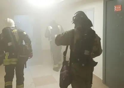 23 человек спасли сотрудники МЧС при пожаре в общежитии СФУ